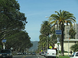 palm lined Ocean Avenue in Santa Monica, near ...