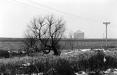 Rural Minnesota